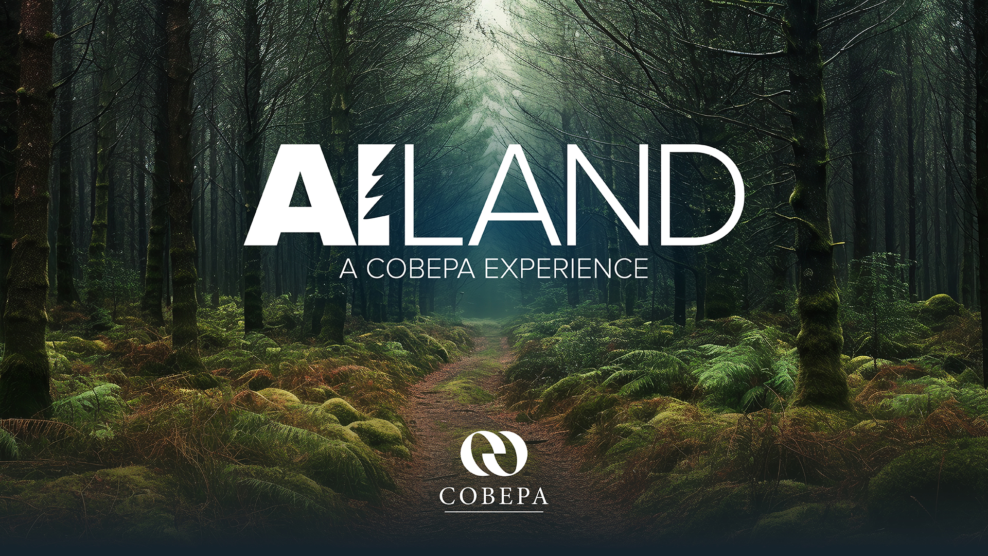 Description visuel 2